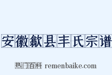 安徽歙县丰氏宗谱是什么意思的图片